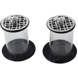 The Maharaja Coaster and Glass Cover set of 2( Total Pcs 4)