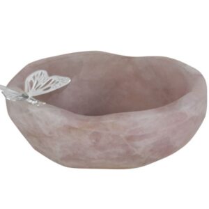 Big Butterfly Bowl
