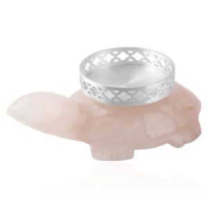 T-light Small Rose Turtle (Set of 2)