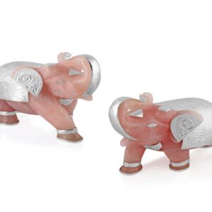 Elephant Pair