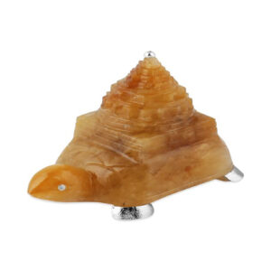 Shreeyantra on Turtle Silver Plated