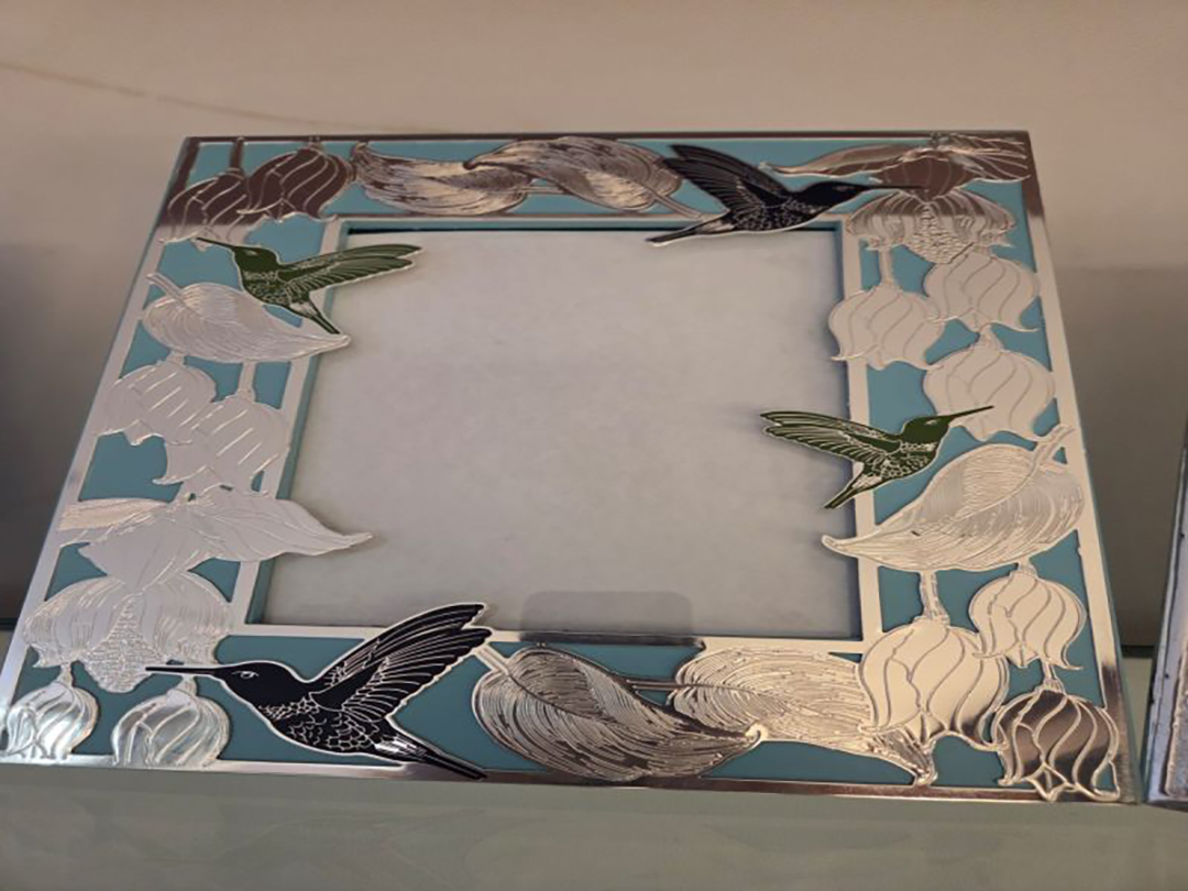 Humming Bird Mystro Frame